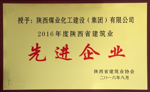 2016年度陜西省建筑業先進企業 - 副本.JPG